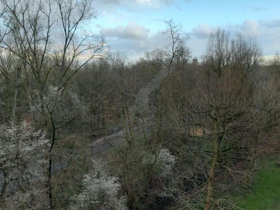 Zentral Und Doch Natur Colónia Exterior foto